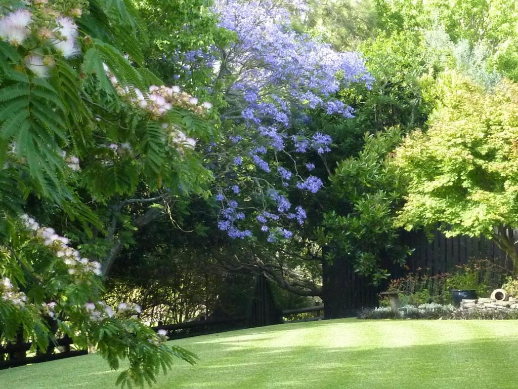 Thorold Country House Thames Ngoại thất bức ảnh